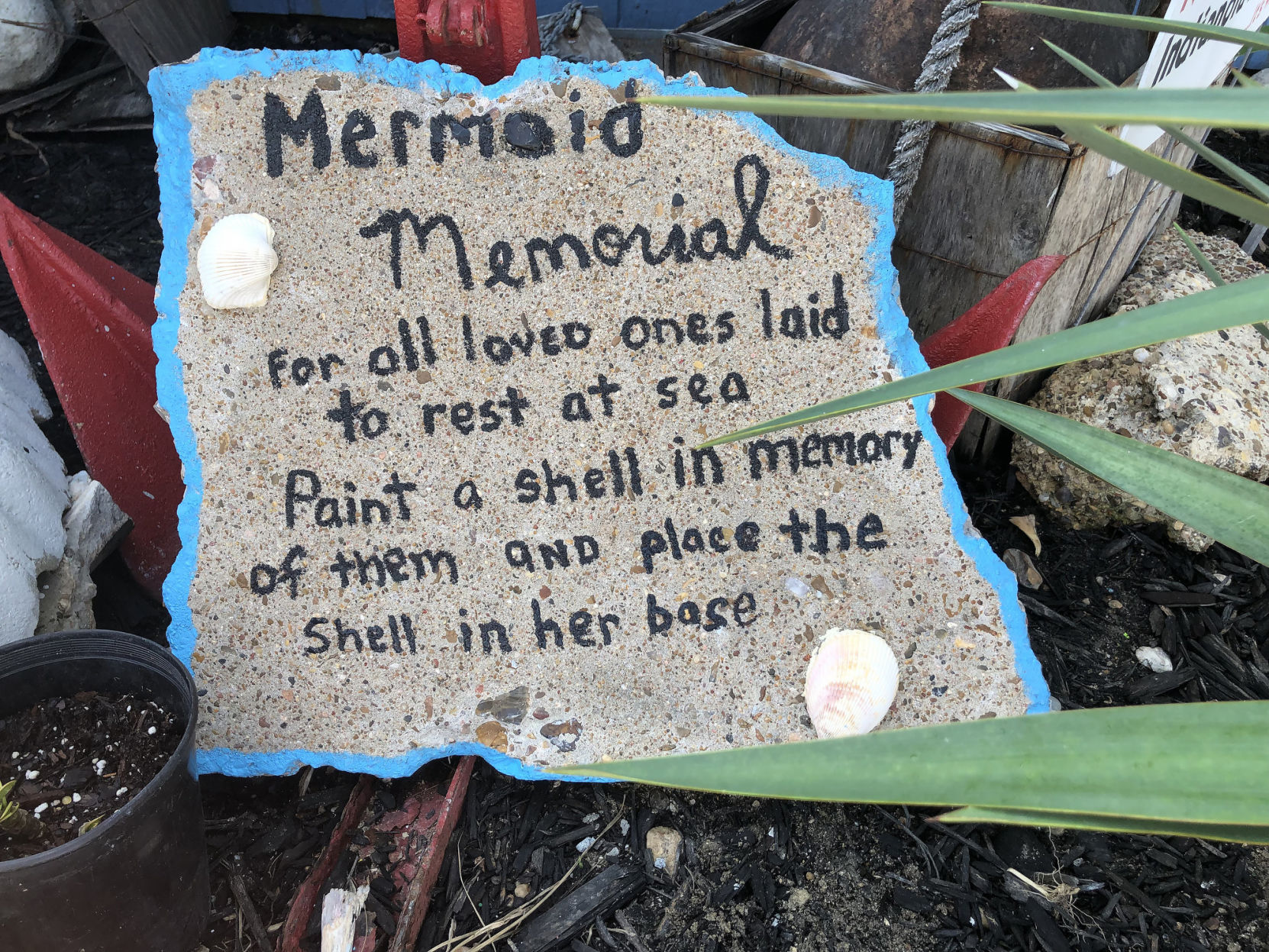 Mermaid sighting has Magnolia Beach buzzing
